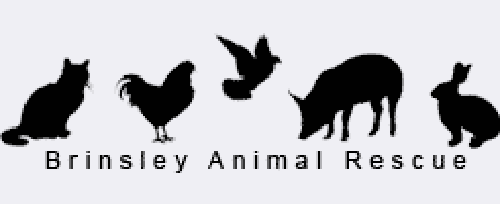 Brinsley Animal Rescue Logo